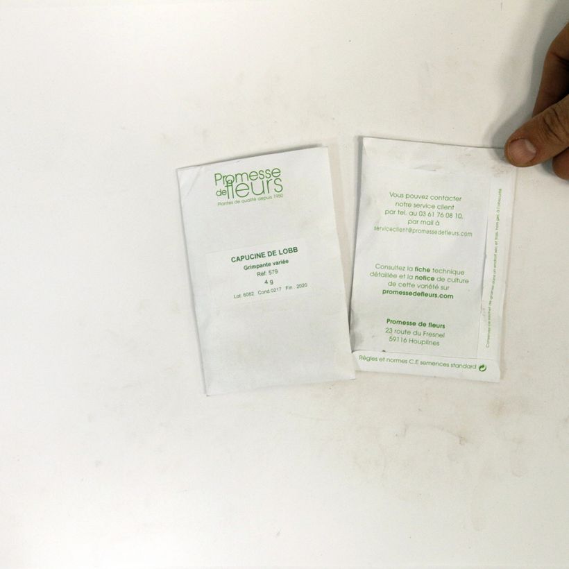 Esempio di esemplare Nasturzio Gleam sacchetto di 35 semi circa (5g) come consegnato