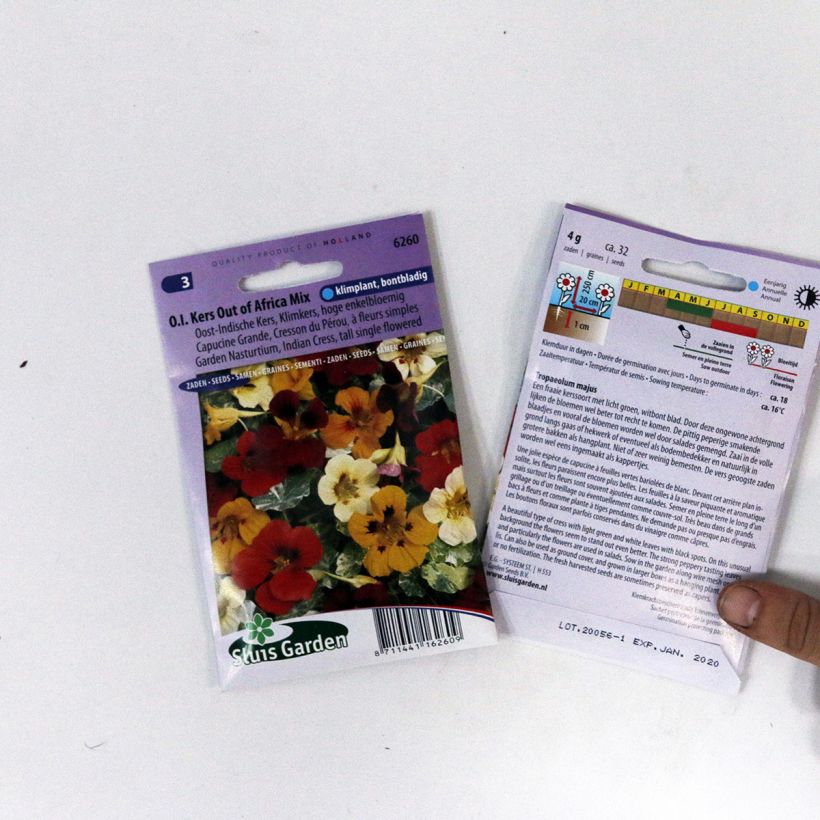 Esempio di esemplare Nasturzio Out Of Africa sacchetto di 32 semi circa come consegnato