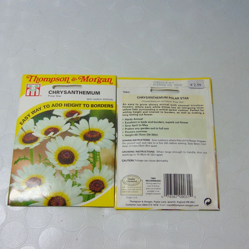 Esempio di esemplare Chrysanthemum carinatum Polar Star - Crisantemo sacchetto di 300 semi circa (1g) come consegnato