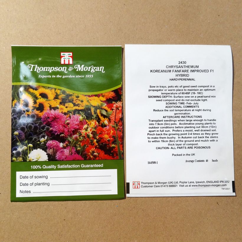 Esempio di esemplare Chrysanthemum Fanfare Improved F1 - Crisantemo sacchetto di 200 semi circa (0,1g) come consegnato