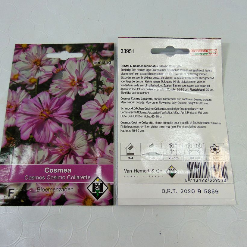 Example of Cosmos Cosimo Collarette - Cosmea sacchetto di 60 semi circa (0.5g) as you get