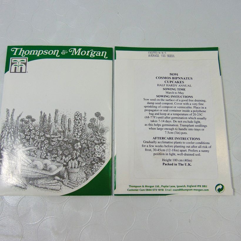 Esempio di esemplare Cosmos Cupcakes - Cosmea sacchetto di 100 semi circa (1g) come consegnato