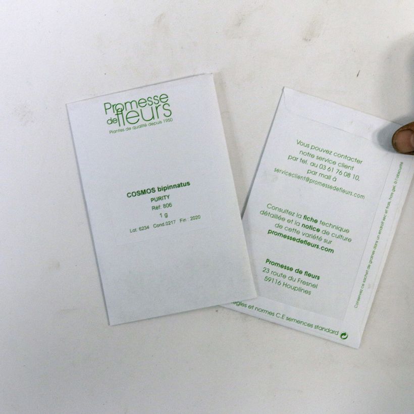 Esempio di esemplare Cosmos Purity - Cosmea sacchetto di 150 semi circa (1g) come consegnato