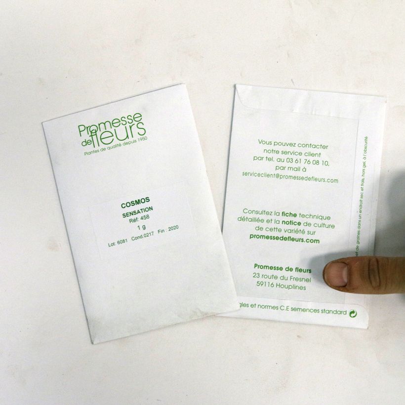 Example of Cosmos Sensation - Cosmea sacchetto di 200 semi circa (1,5g) as you get