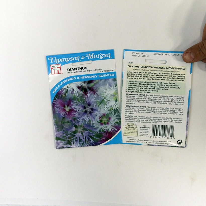 Esempio di esemplare Dianthus hybrid Rainbow Loveliness Improved Mixed - Garofano sacchetto di 30 semi circa come consegnato