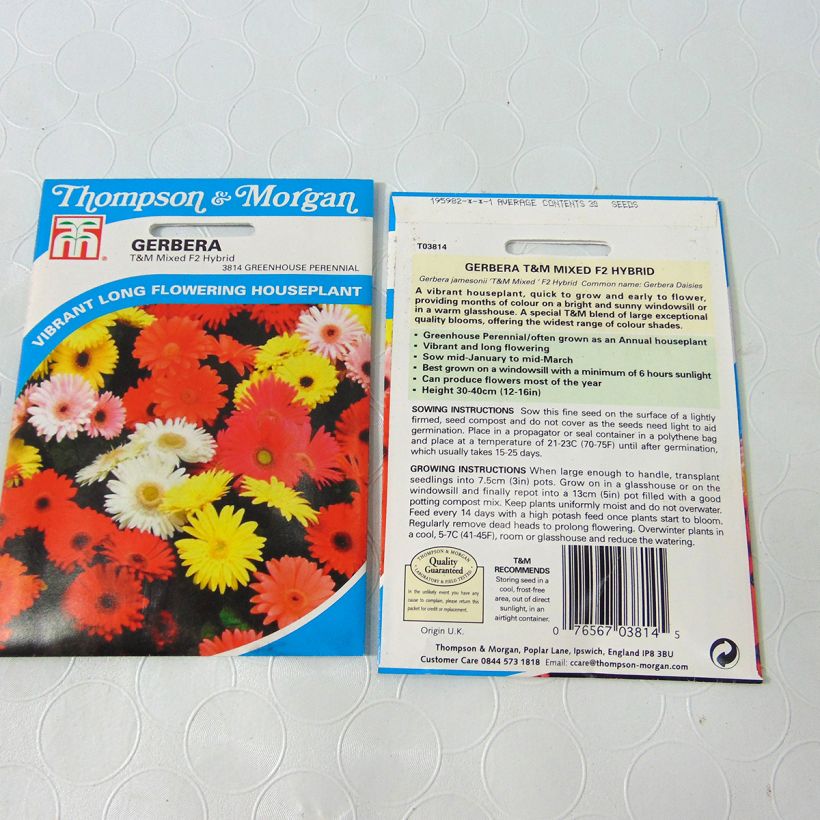 Example of Gerbera T&M Mixed Hybride F2 sacchetto di 50 semi circa (0,1g) as you get