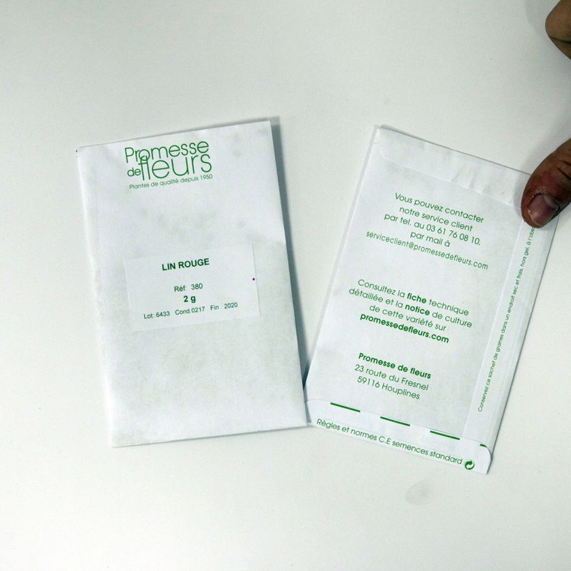 Esempio di esemplare Linum grandiflorum Rubrum - Lino scarlatto sacchetto di 600 semi circa (2g) come consegnato