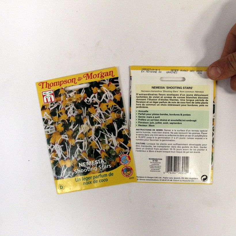 Esempio di esemplare Nemesia cheiranthus Shooting Stars sacchetto di semi da 0.012 grammi come consegnato