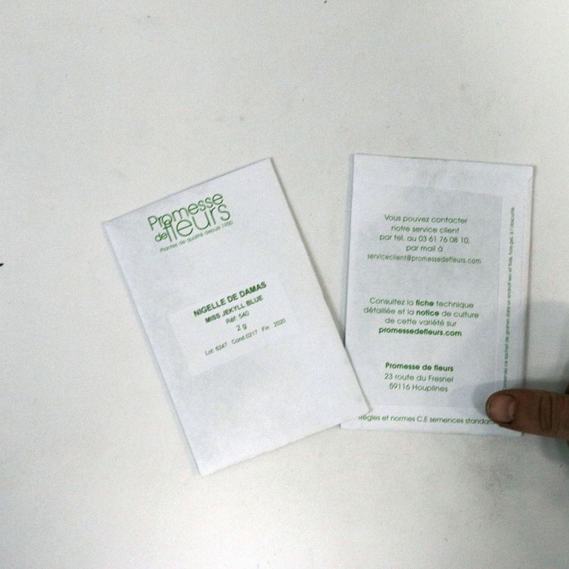 Esempio di esemplare Damigella scapigliata Miss Jekyll Blue sacchetto di 600 semi circa (2g) come consegnato