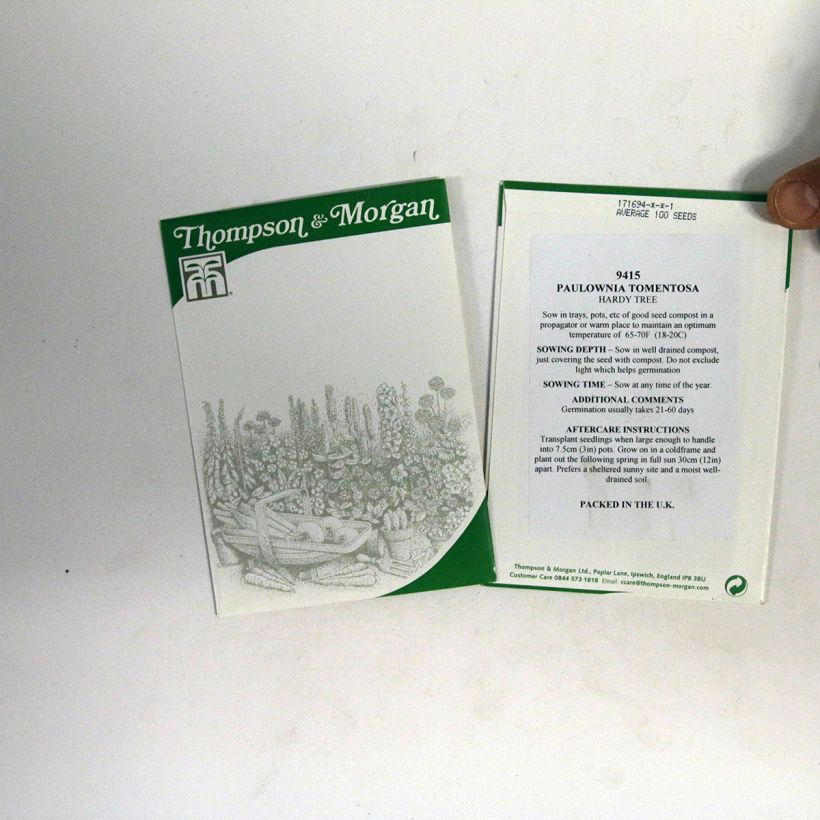 Esempio di esemplare Paulownia tomentosa (semi) sacchetto di 100 semi circa come consegnato