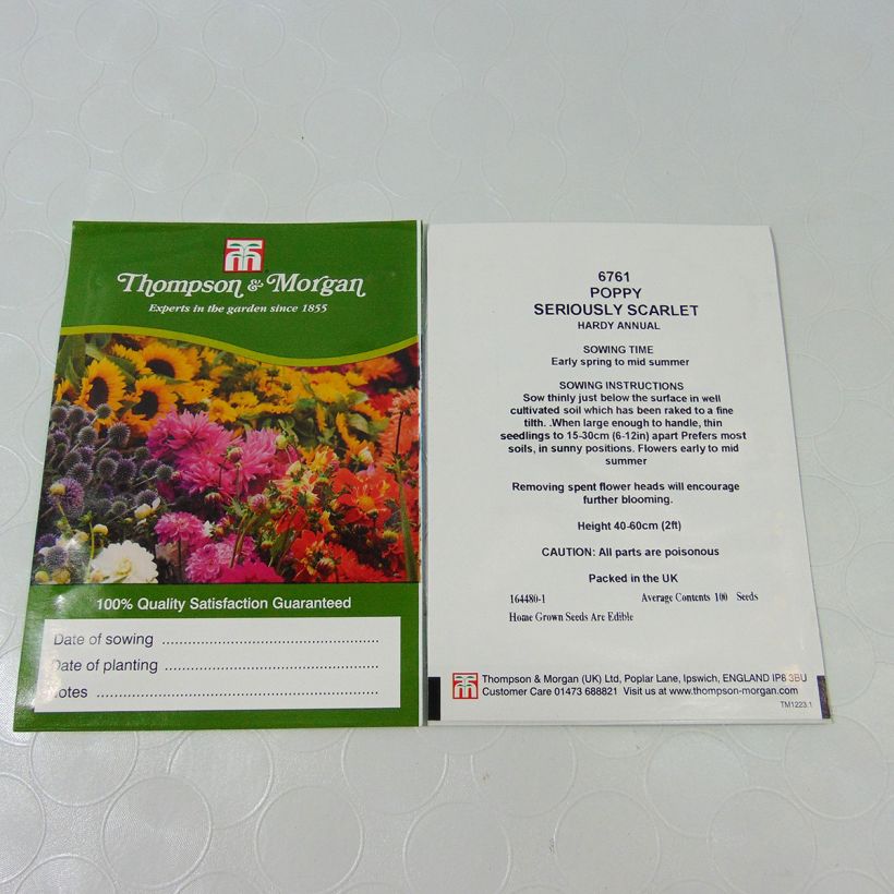 Esempio di esemplare Papavero da oppio Seriously Scarlet sacchetto di 100 semi circa come consegnato