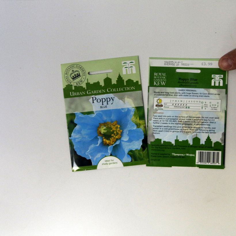 Example of Viola Chalon Supreme Wildberry Mixed - Viola del pensiero sacchetto di 20 semi circa as you get