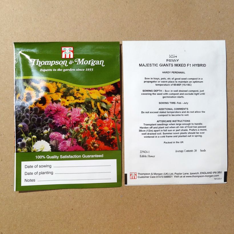 Esempio di esemplare Viola Majestic Giant Mixed sacchetto di 30 semi circa come consegnato