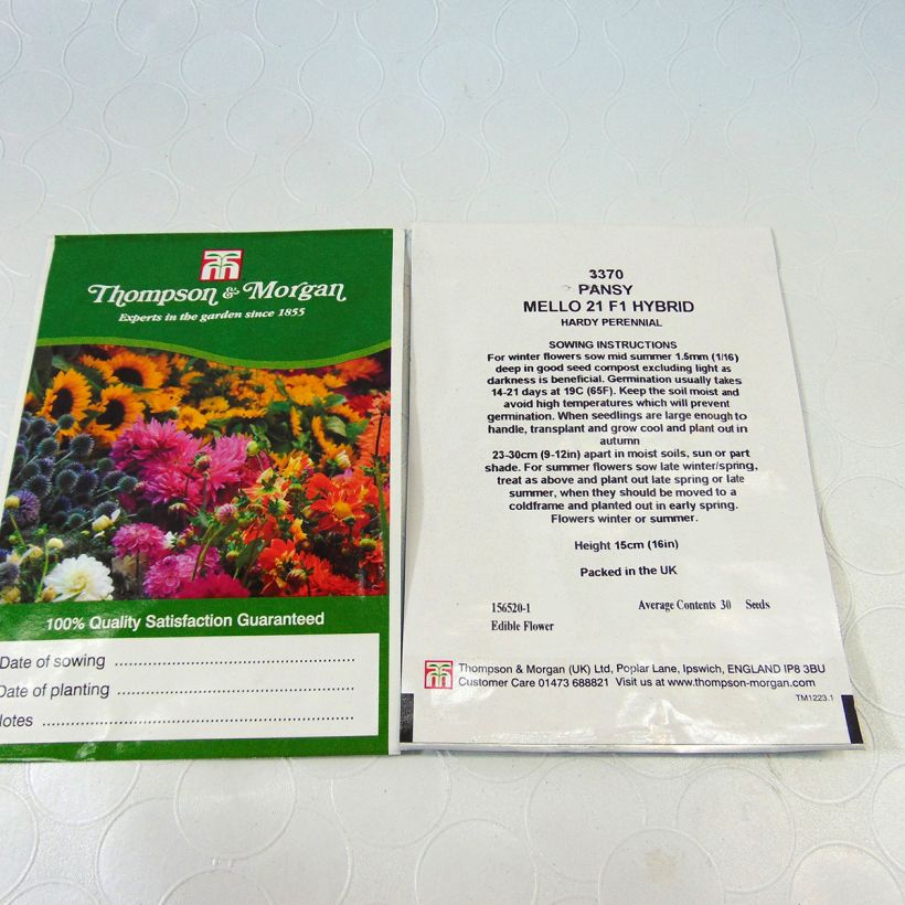 Example of Viola Mello 21 sacchetto di 30 semi circa as you get