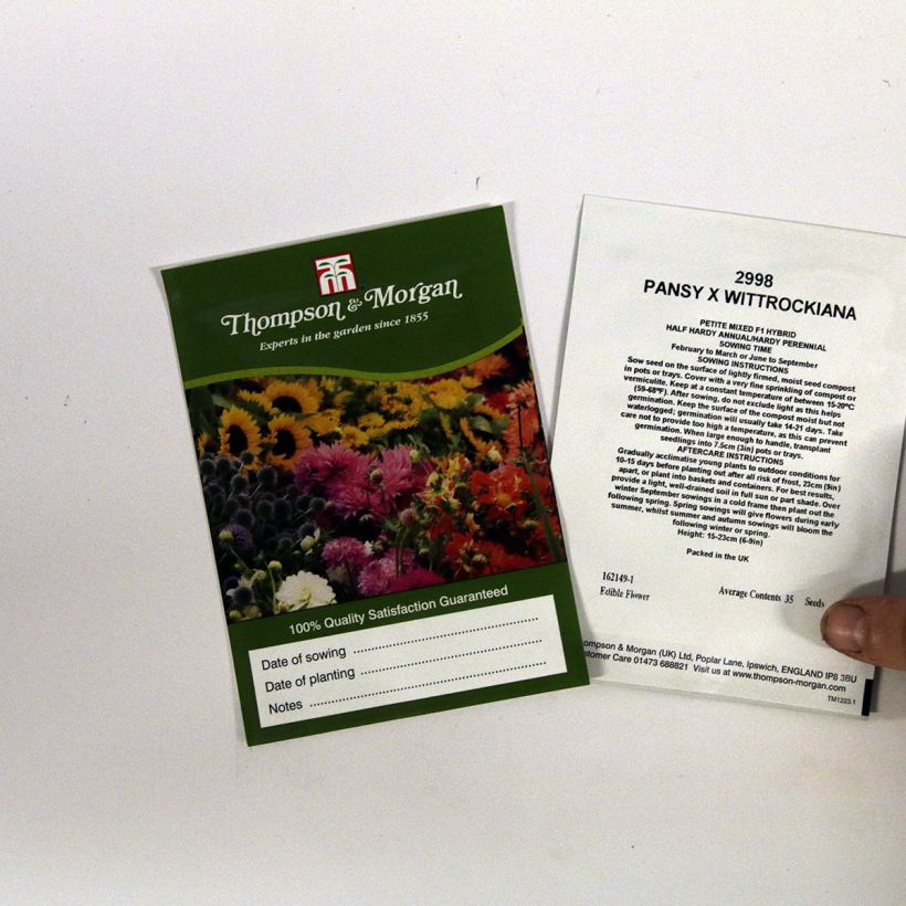 Example of Viola Petite Mixed sacchetto di 35 semi circa as you get