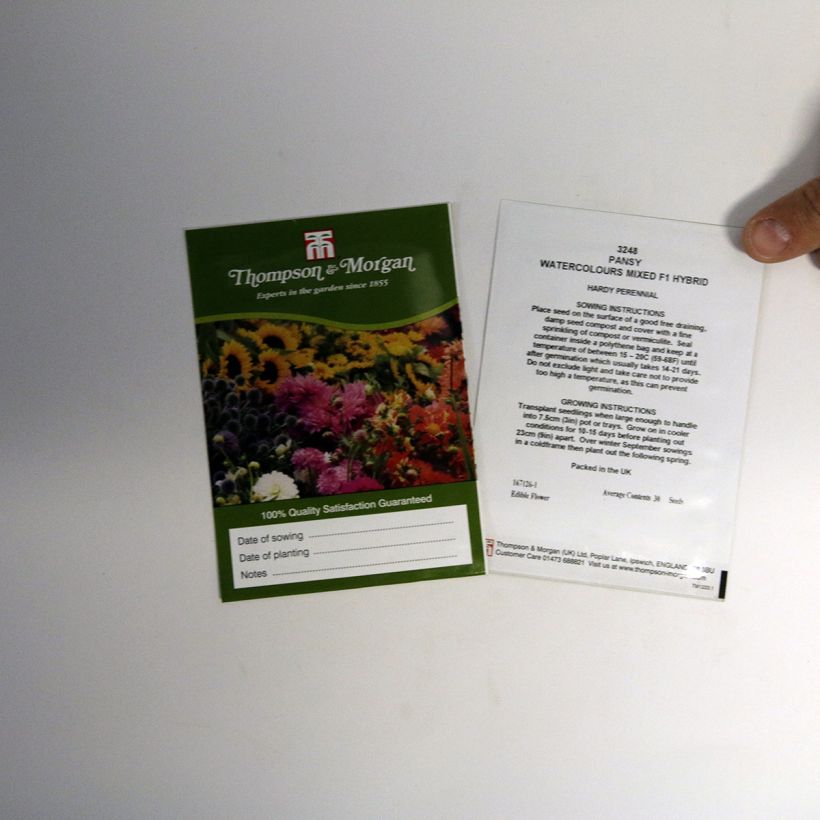 Esempio di esemplare Viola Water colours Mixed sacchetto di 30 semi circa come consegnato