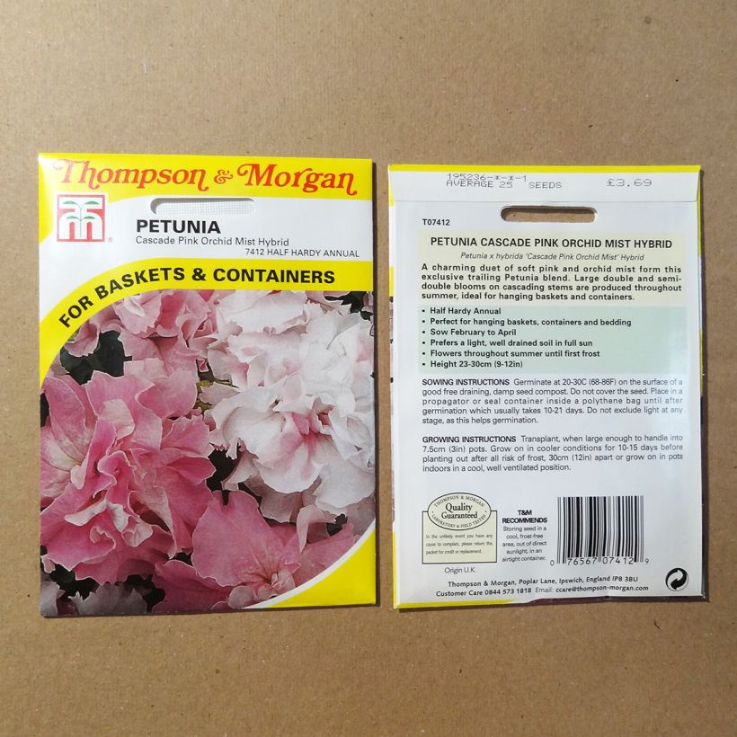Example of Petunia Cascade Pink Orchid Mist sacchetto di 25 semi circa as you get