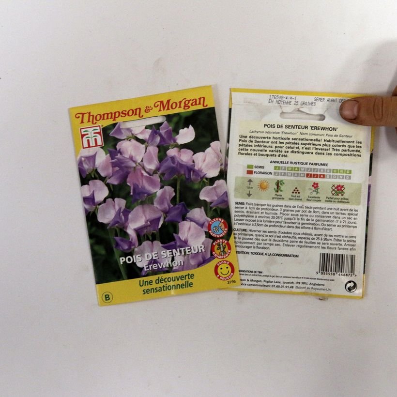 Example of Lathyrus Erewhon - Cicerchia odorosa sacchetto di 25 semi circa (2,5g) as you get