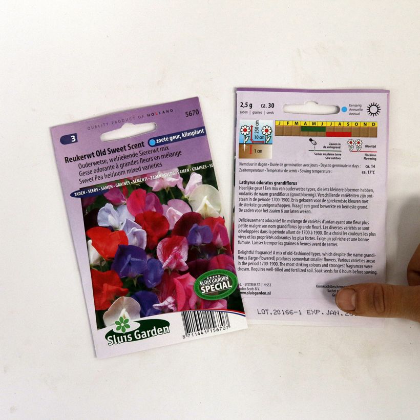 Esempio di esemplare Pisello odoroso Old Sweet Scent sacchetto di 30 semi circa come consegnato