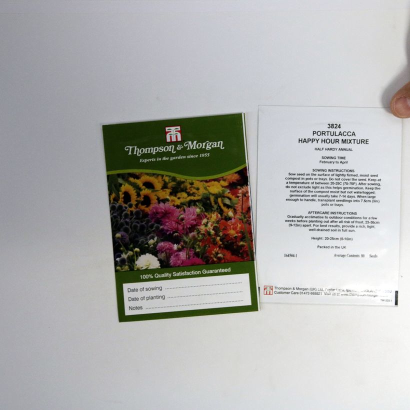 Esempio di esemplare Portulaca grandiflora Happy Hour Mixture sacchetto di 80 semi circa come consegnato