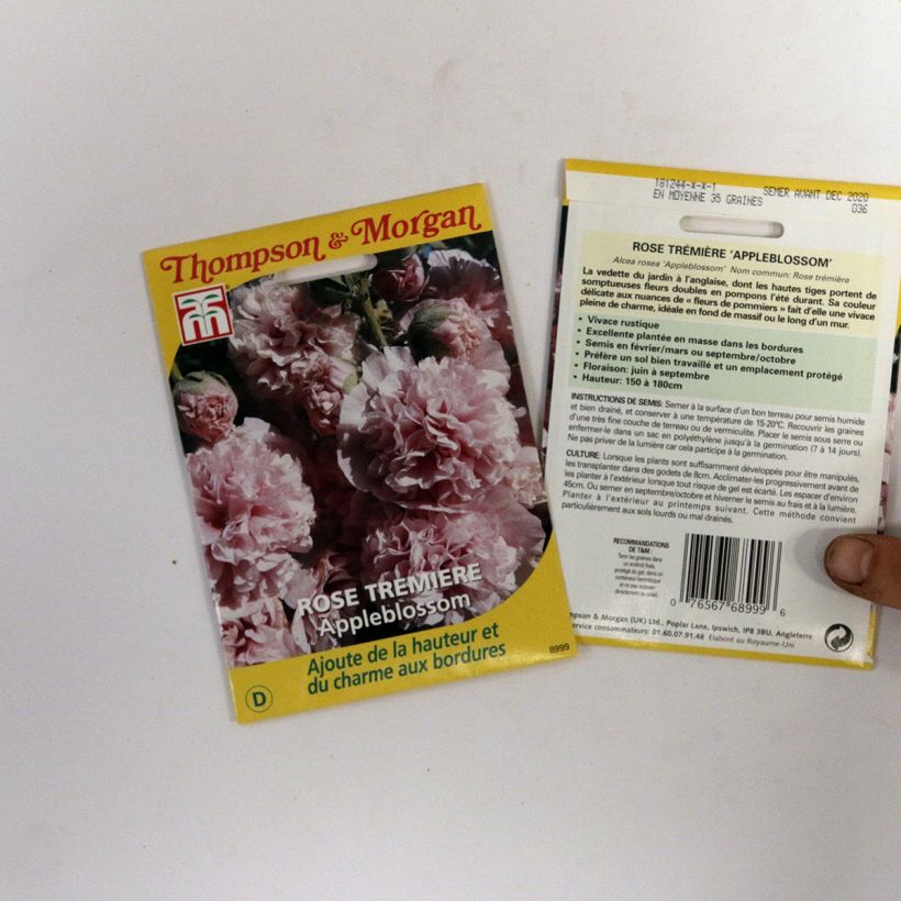 Esempio di esemplare Alcea rosea Appleblossom - Malvarosa sacchetto di semi da 2 grammi come consegnato