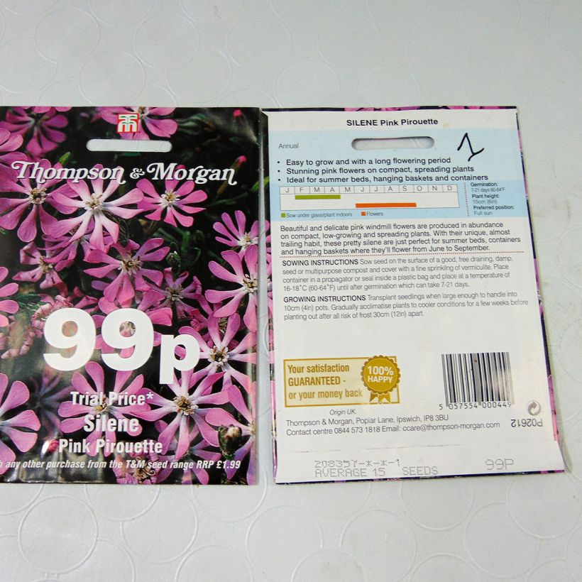 Esempio di esemplare Silene colorata Pink Pirouette sacchetto di 15 semi circa come consegnato