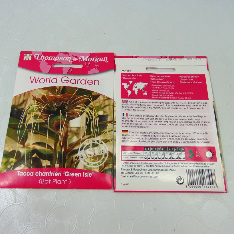 Esempio di esemplare Tacca chantrieri Green Isle (semi) sacchetto di 15 semi circa come consegnato
