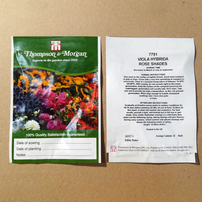 Example of Viola Rose Shades sacchetto di 30 semi circa as you get