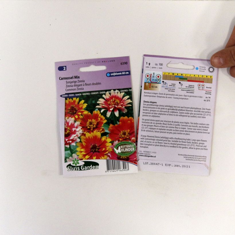 Esempio di esemplare Zinnia Carrousel Mix sacchetto di semi da 1 grammi come consegnato