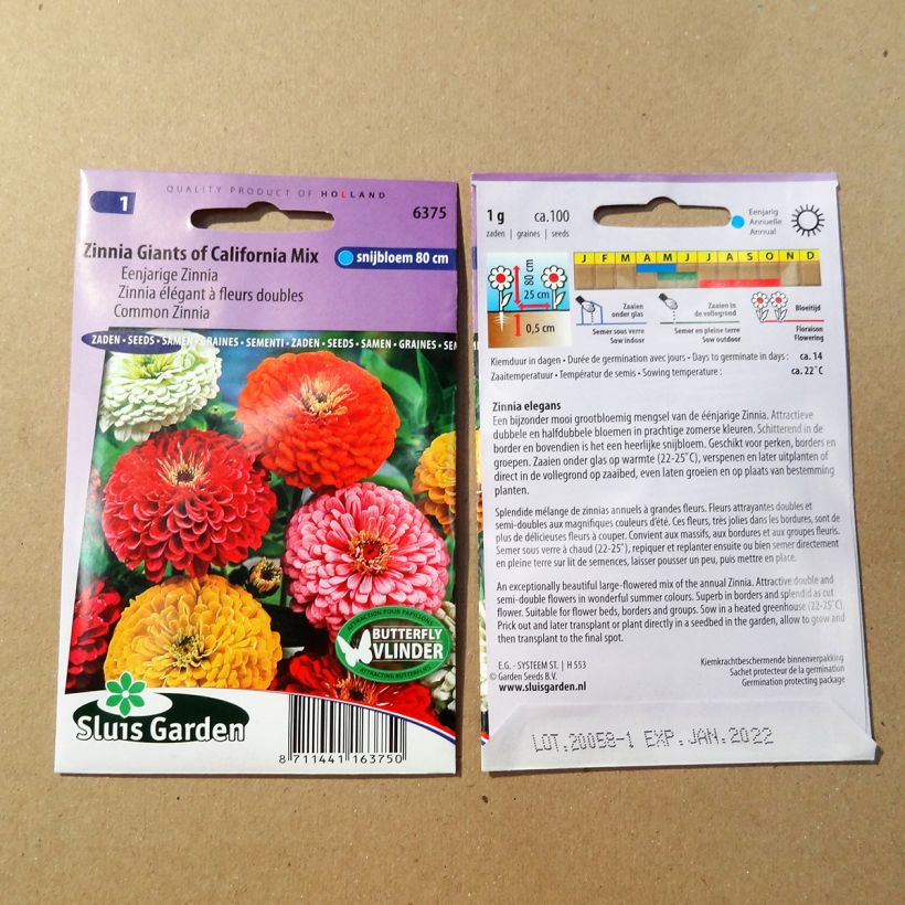 Esempio di esemplare Zinnia Giant of California Mix sacchetto di 100 semi circa (1g) come consegnato