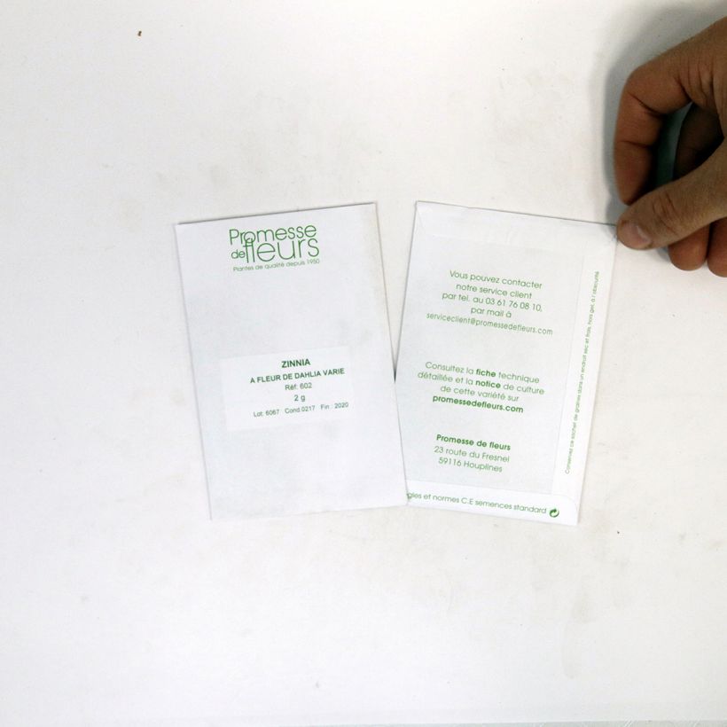 Esempio di esemplare Zinnia Dahlia Mix sacchetto di 200 semi circa (2g) come consegnato