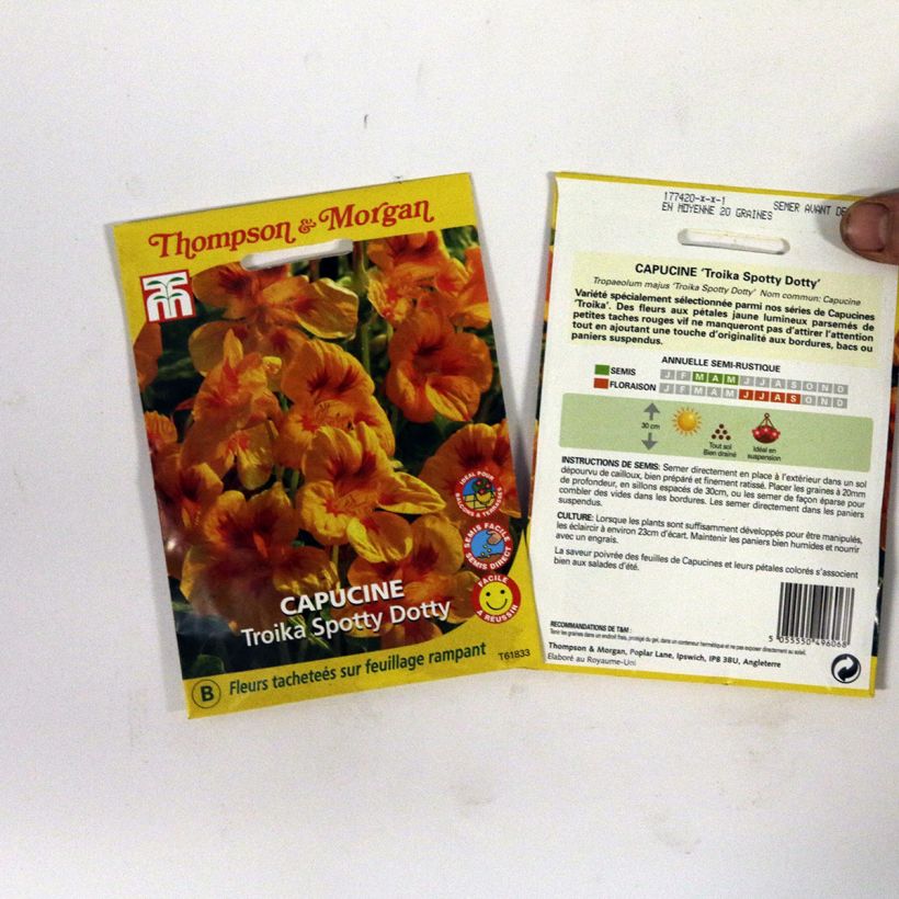 Esempio di esemplare Nasturzio Troika Spotty Dotty sacchetto di 20 semi circa come consegnato