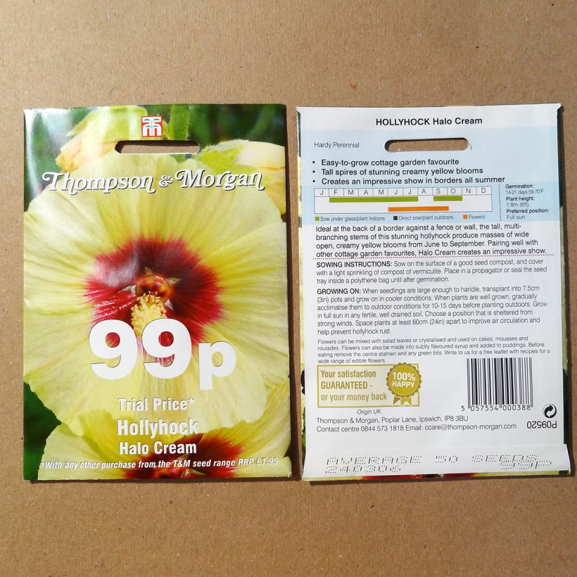 Esempio di esemplare Alcea rosea Halo Cream - Malvarosa sacchetto di 25 semi circa come consegnato