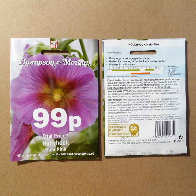 Esempio di esemplare Alcea rosea Halo Pink - Malvarosa sacchetto di 25 semi circa come consegnato