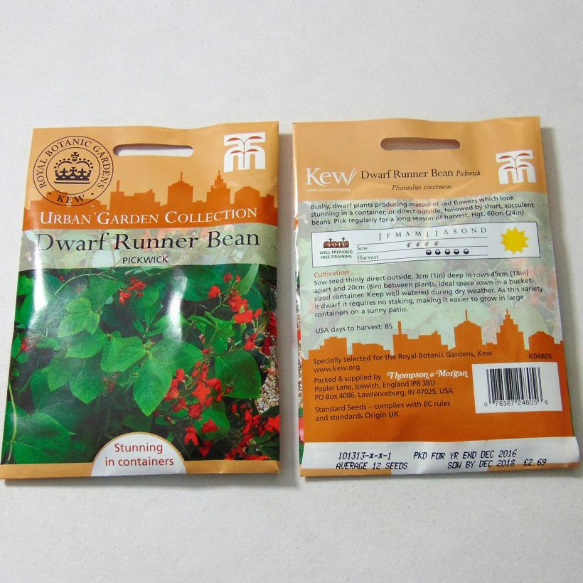 Example of Fagiolo di Spagna Pickwick sacchetto di 12 semi circa as you get