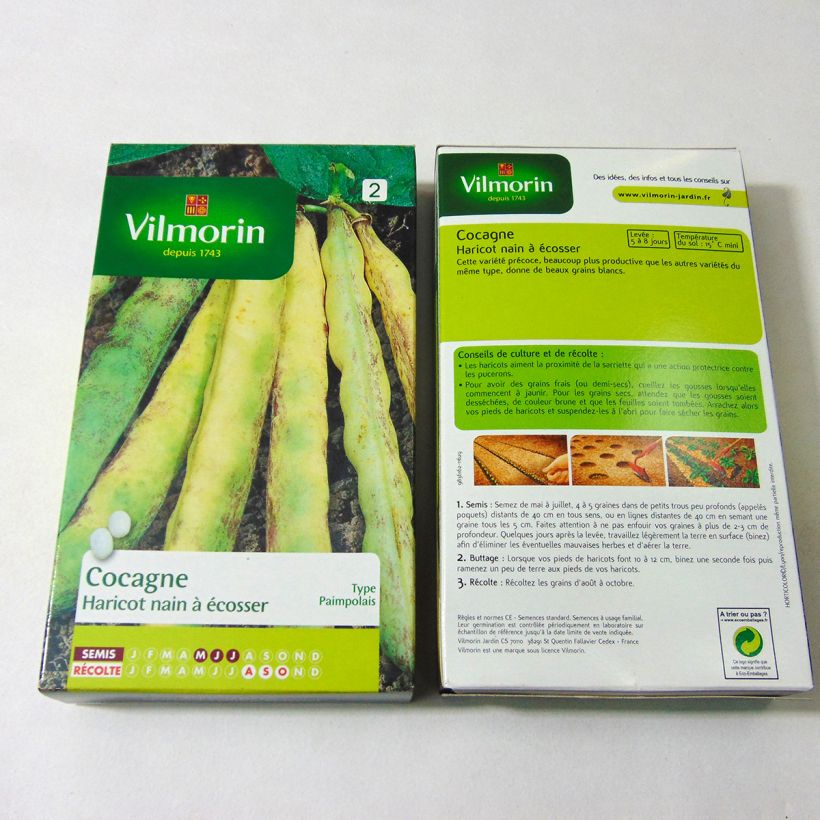 Esempio di esemplare Fagiolo da sgranare Cocagne - Vilmorin sacchetto di 400 semi circa (200g) come consegnato