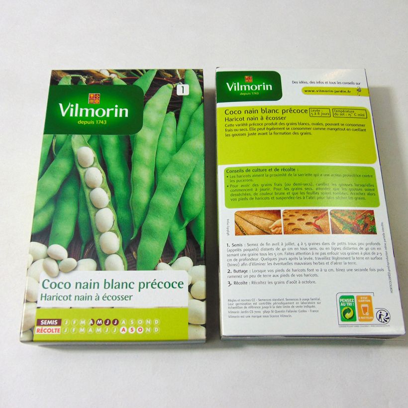 Esempio di esemplare Fagiolo da sgranare - Vilmorin sacchetto di 400 semi circa (200g) come consegnato