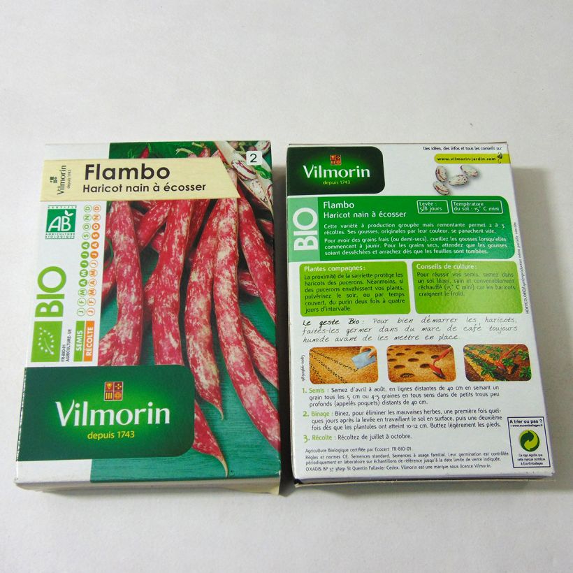 Esempio di esemplare Fagiolo da sgranare Flambo Bio - Vilmorin sacchetto di 200 semi circa (100g) come consegnato