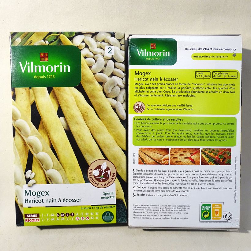 Example of Fagiolo da sgranare Mogex sacchetto di 75 semi circa (90g) as you get