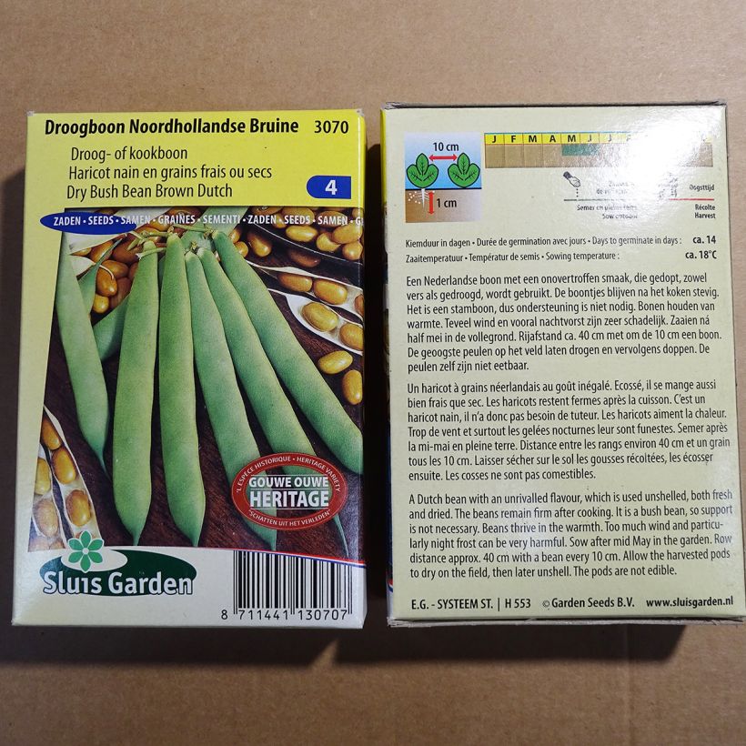 Esempio di esemplare Fagiolo da sgranare Noordhollandse Bruine sacchetto di 200 semi circa (100g) come consegnato