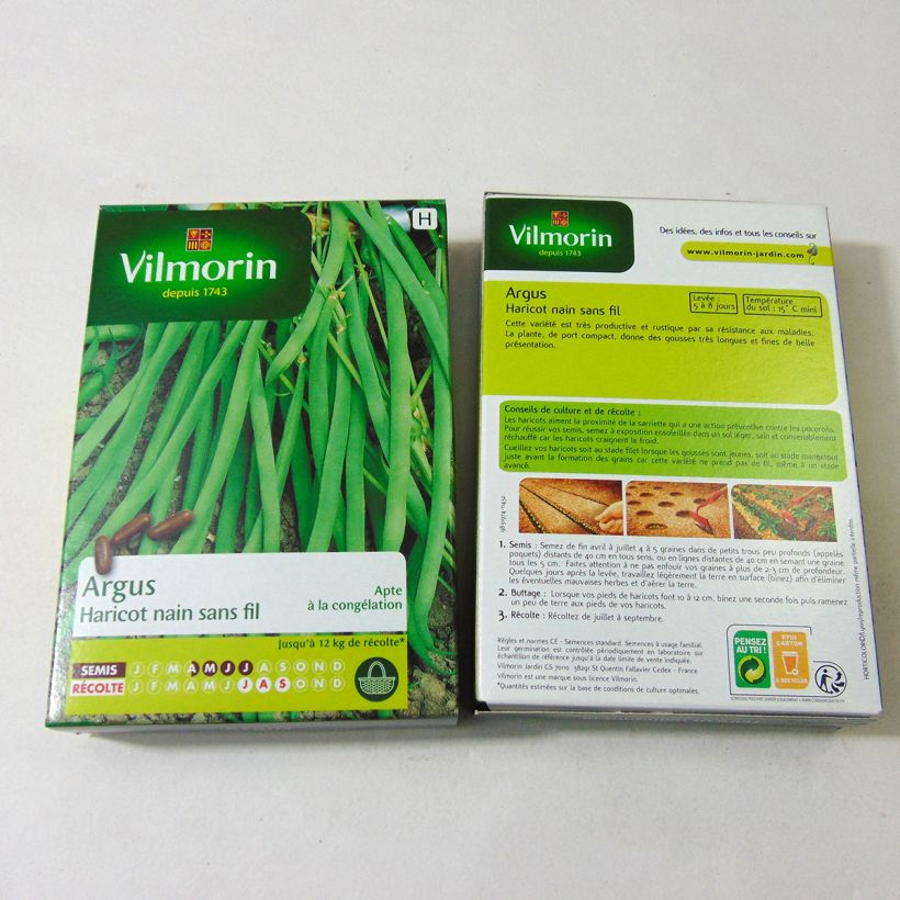 Esempio di esemplare Fagiolino Argus - Vilmorin sacchetto di 200 semi circa (100g) come consegnato