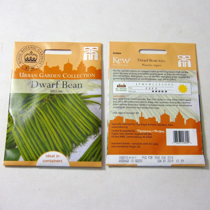 Example of Fagiolo nano Bellini sacchetto di 12 semi circa as you get