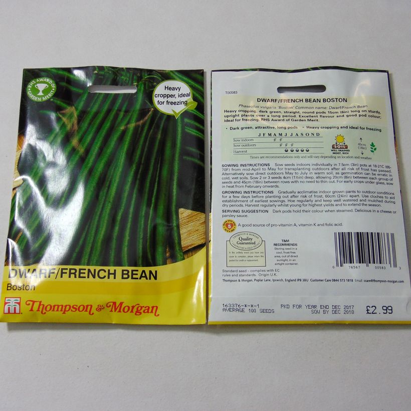 Esempio di esemplare Fagiolo nano Boston sacchetto di 100 semi circa come consegnato