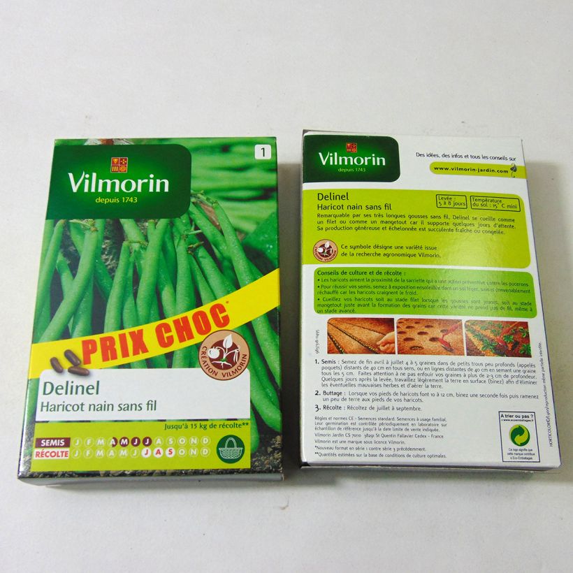 Esempio di esemplare Fagiolino Delinel - Vilmorin sacchetto di 280 semi circa (140g) come consegnato