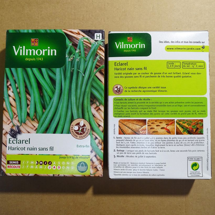 Esempio di esemplare Fagiolo nano Eclarel sacchetto di 200 semi circa (100g) come consegnato