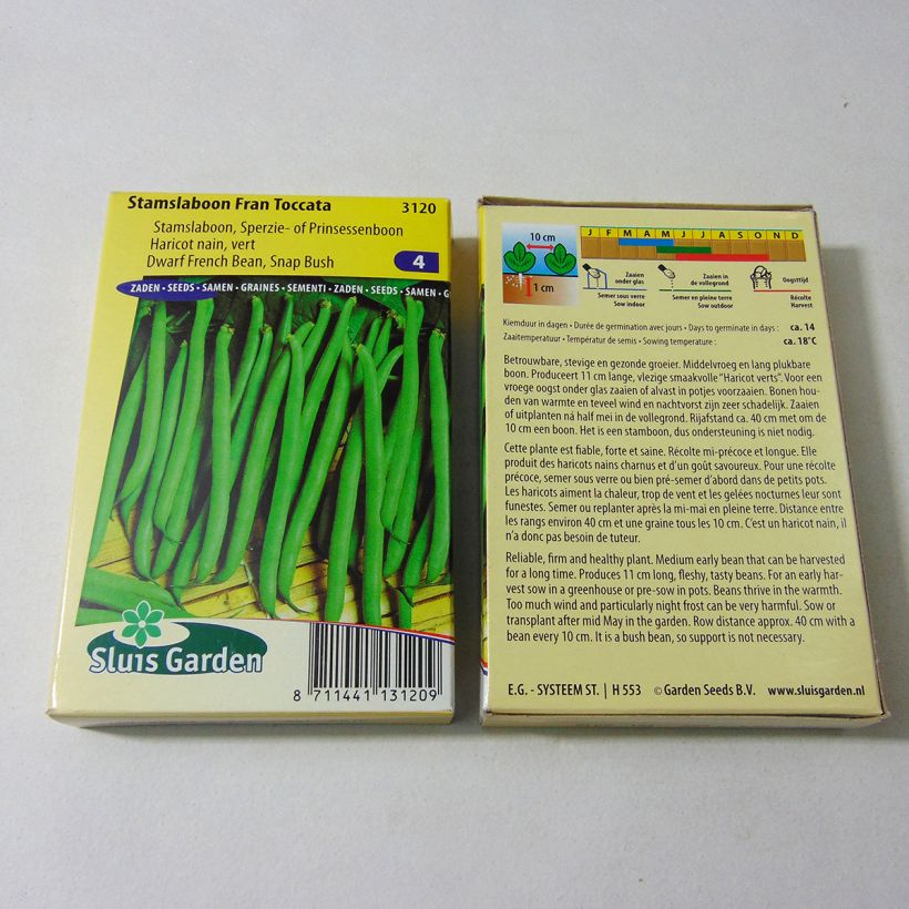 Esempio di esemplare Fagiolo nano Fran Toccata sacchetto di 150 semi circa (75g) come consegnato