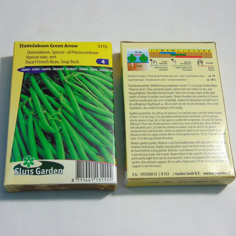 Esempio di esemplare Fagiolo nano Green Arrow sacchetto di 150 semi circa (75g) come consegnato