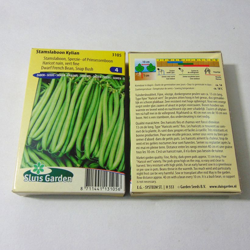 Esempio di esemplare Fagiolo nano Kylian sacchetto di 150 semi circa (75g) come consegnato