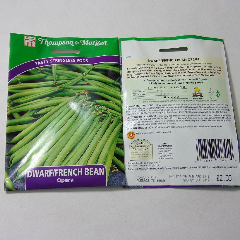 Esempio di esemplare Fagiolo nano Opera sacchetto di 75 semi circa come consegnato
