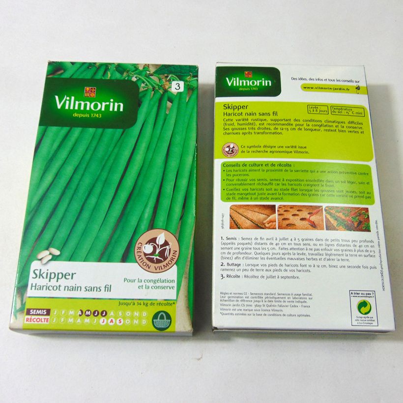 Esempio di esemplare Fagiolo nano Skipper sacchetto di 400 semi circa (200g) come consegnato